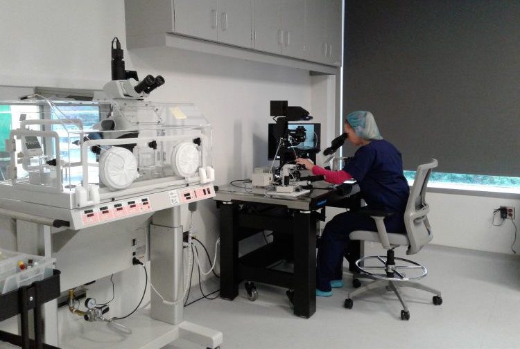 Woman looking into a microscope in CCRM Fertility IVF lab