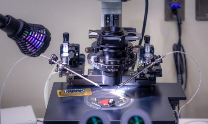 A close-up view of a scientific microscope setup with precision instruments, probes, and a glass slide on the stage, used for detailed laboratory research and analysis.