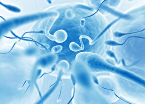 Close-up, blue-tinted illustration showing multiple sperm cells swimming toward an egg, representing the process of fertilization.