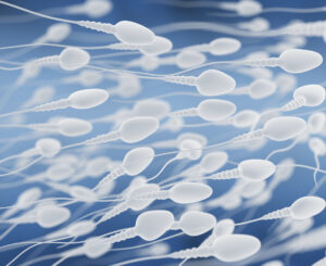 A digital illustration of many white sperm cells swimming against a blurred blue background, representing movement and fertility.