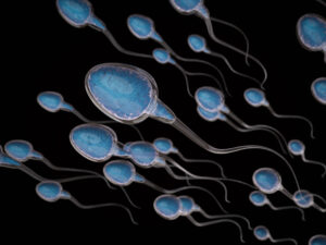 Illustration of multiple blue-colored sperm cells with long tails swimming in a black background, symbolizing fertilization or reproduction.