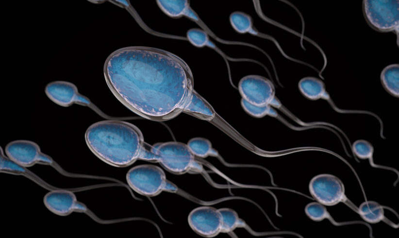 Illustration of multiple blue-colored sperm cells with long tails swimming in a black background, symbolizing fertilization or reproduction.
