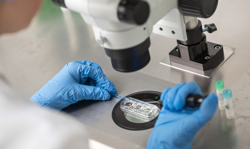 A person wearing blue gloves uses a pipette and a tool under a microscope to work with samples in a petri dish, suggesting a laboratory or scientific research setting.
