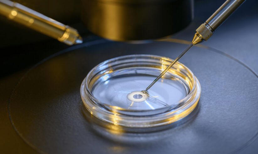 A close-up of a petri dish under a microscope, with two needles or pipettes handling a cell, illustrating a lab procedure such as in vitro fertilization or microinjection.
