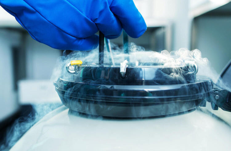 A gloved hand lifts a sample from a cryogenic storage container emitting vapor, commonly used for preserving biological materials at very low temperatures.