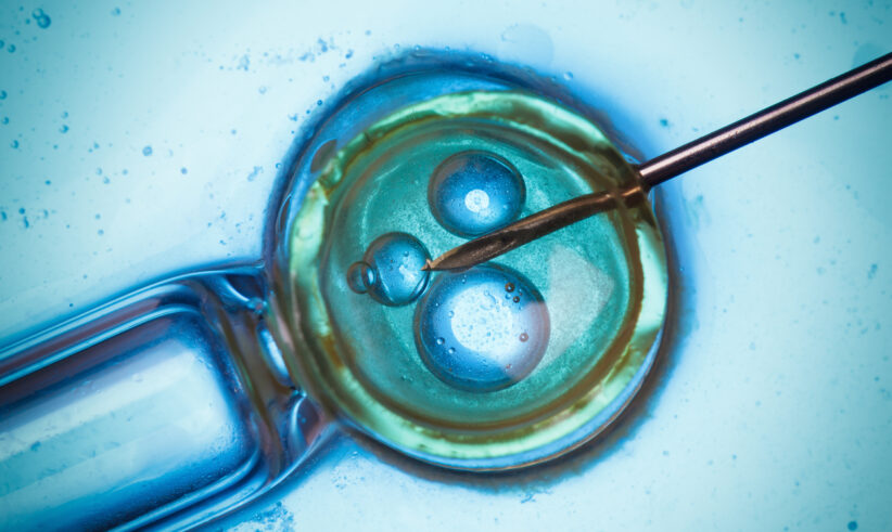 A close-up image of a needle injecting a cell, likely during in vitro fertilization, with blue and green coloring highlighting the cell and its internal structures.