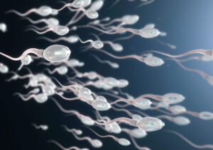 Digital illustration of multiple sperm cells swimming toward the right, with some carrying X chromosomes and others carrying Y chromosomes, depicted by blue letters inside their heads, against a dark gradient background.