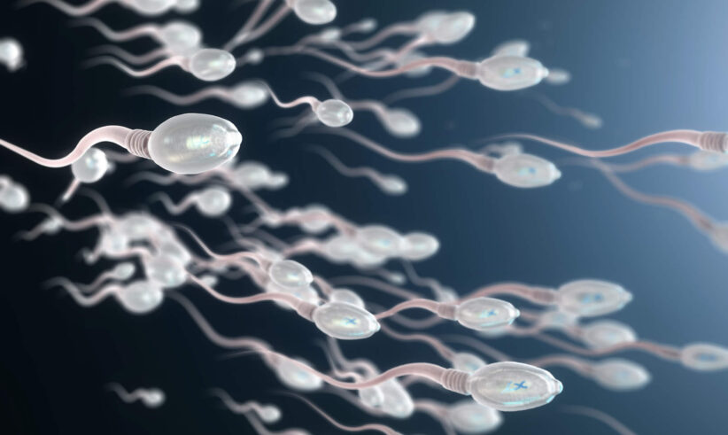 Digital illustration of multiple sperm cells swimming toward the right, with some carrying X chromosomes and others carrying Y chromosomes, depicted by blue letters inside their heads, against a dark gradient background.