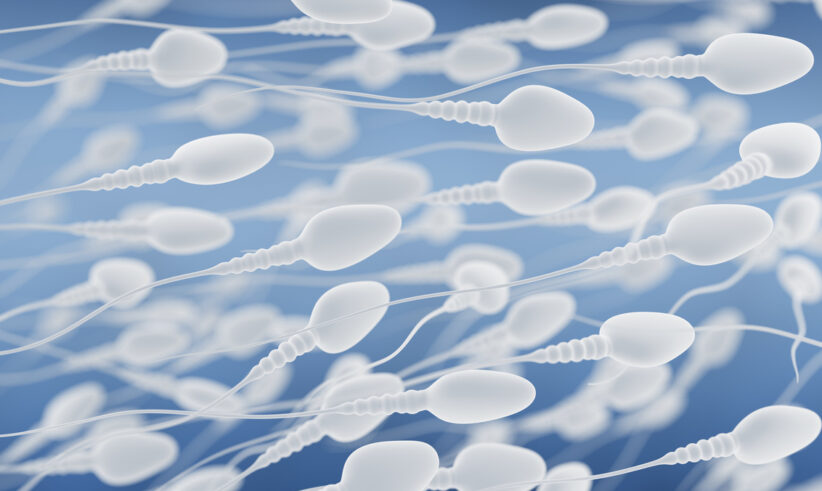 A close-up illustration of numerous white sperm cells swimming against a blue background, representing the process of fertilization.