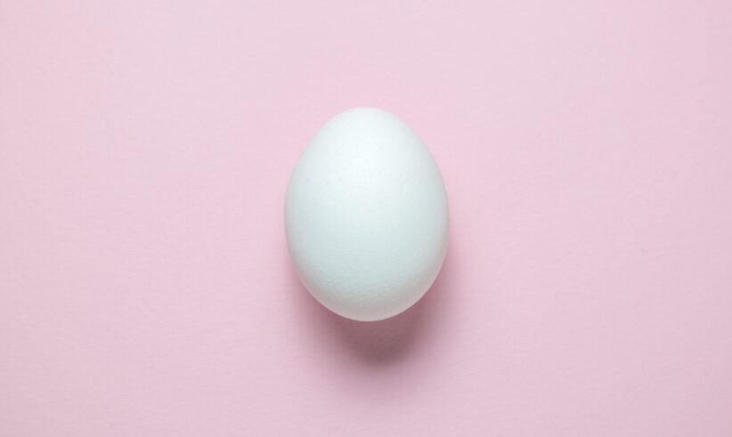 A single white egg is placed on a smooth, light pink background, casting a soft shadow beneath it.