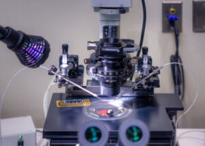 A close-up of a laboratory microscope setup with attached micromanipulators and electrodes, illuminated by a desk lamp, used for precise scientific experiments on a specimen slide.