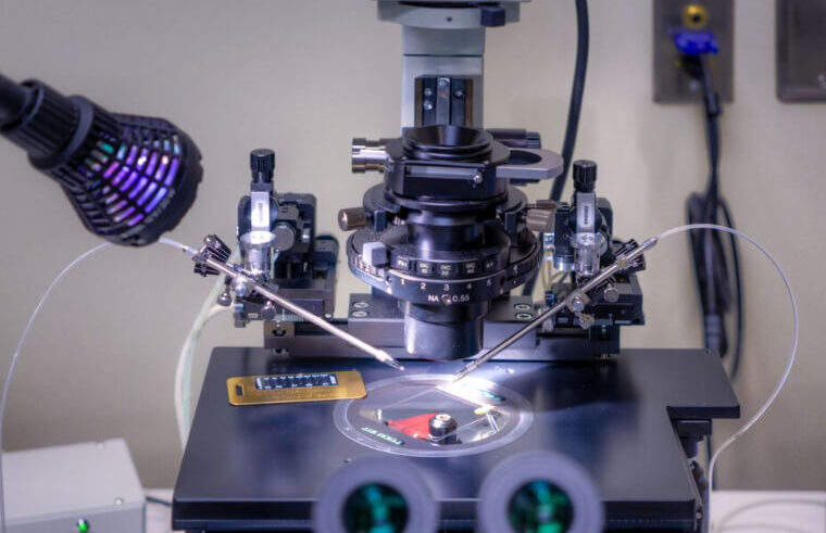 A close-up of a laboratory microscope setup with attached micromanipulators and electrodes, illuminated by a desk lamp, used for precise scientific experiments on a specimen slide.
