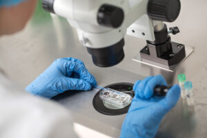 A person wearing blue gloves uses lab instruments to manipulate samples under a microscope on a stainless steel work surface, with laboratory tubes visible nearby.