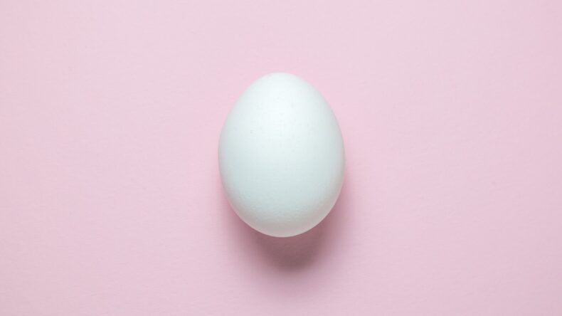 A single white egg is centered on a smooth, pastel pink background. The egg casts a soft shadow beneath it.