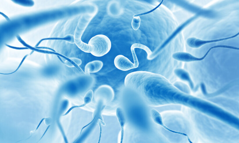 Microscopic view of several sperm cells swimming toward a large egg cell, depicted in blue tones with a soft, glowing effect.