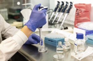 A person wearing blue gloves uses a pipette to transfer liquid into a petri dish at a laboratory workstation with bottles, test tubes, and lab equipment nearby.