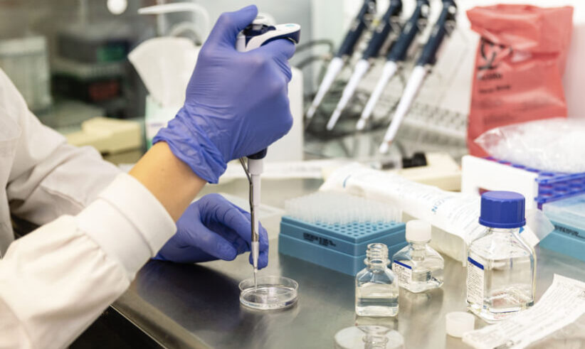 A person wearing blue gloves uses a pipette to transfer liquid into a petri dish at a laboratory workstation with bottles, test tubes, and lab equipment nearby.