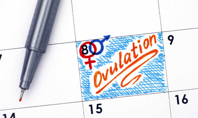 A calendar shows a day marked with blue and red gender symbols and the word Ovulation written in orange, highlighted with blue, next to a pen.