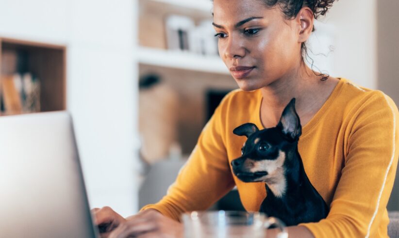 A woman in a yellow top works on a laptop at home with a small black and brown dog sitting on her lap. A glass cup is visible in the foreground, and shelves are blurred in the background.