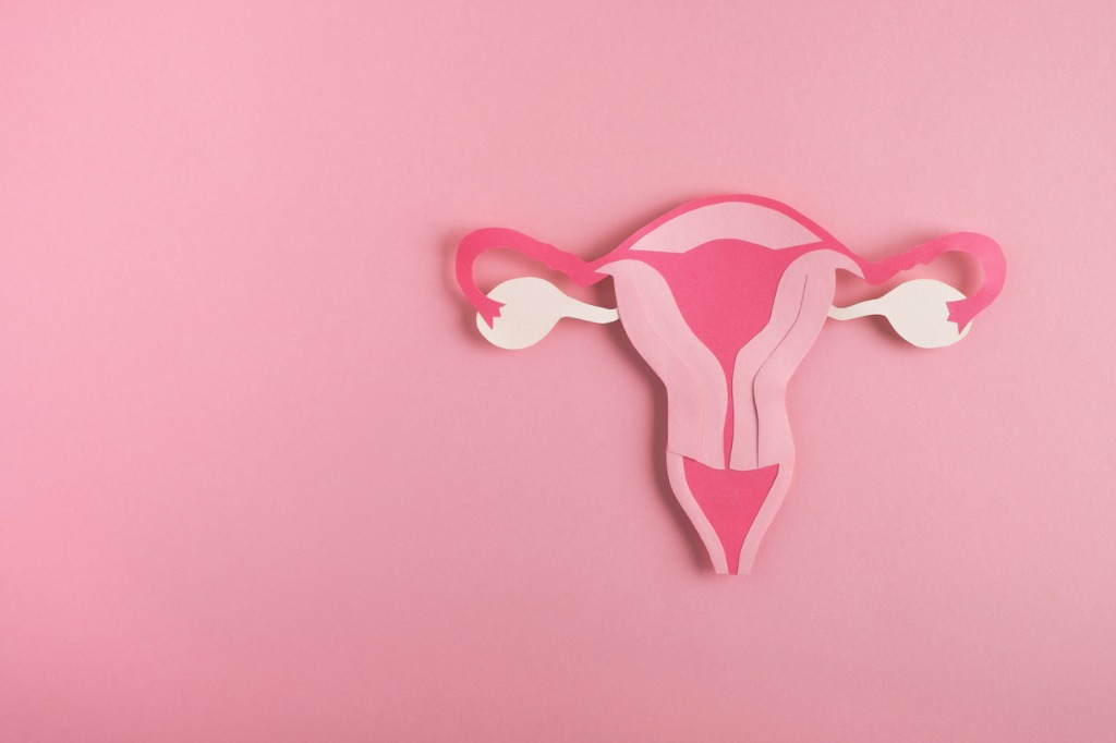 Illustration of uterus