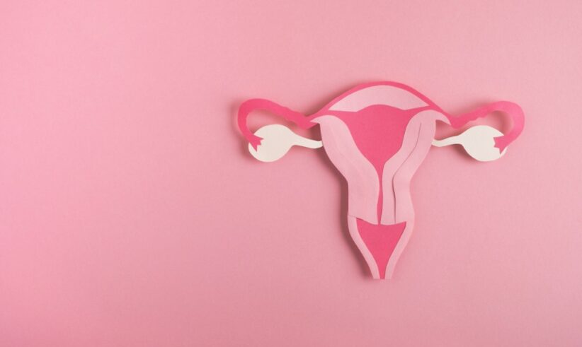 A paper cutout of a uterus in shades of pink and white is displayed on a solid pink background.