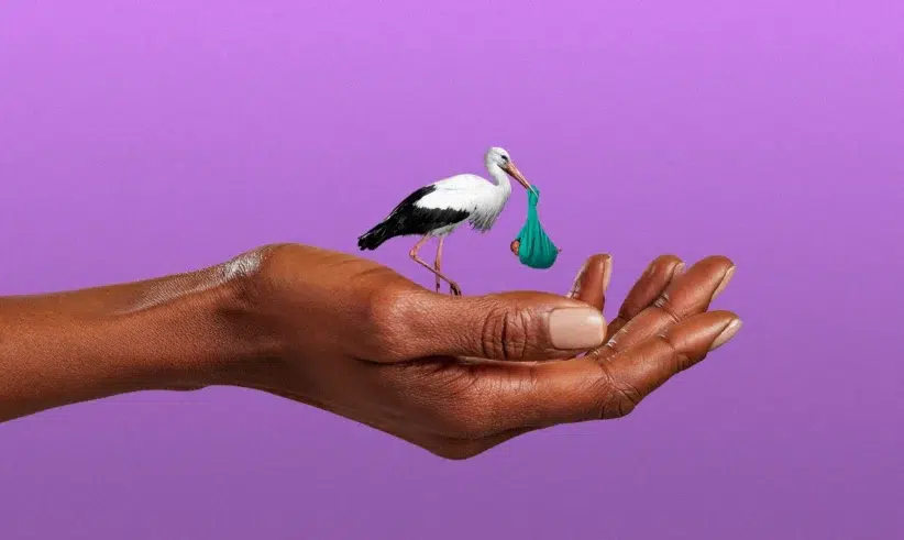 A hand holds a small stork carrying a blue bundle in its beak, set against a purple background.
