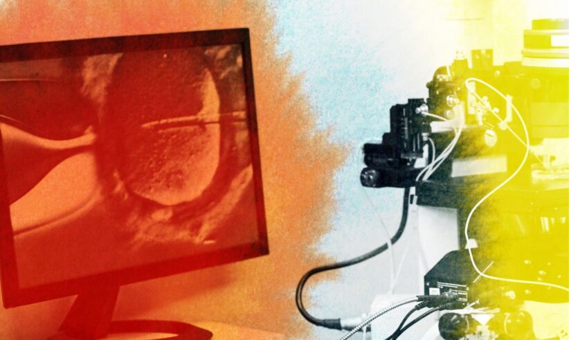 A computer monitor displays a magnified image of a cell, while scientific equipment, including a microscope, is set up beside it, bathed in red and yellow lighting effects.