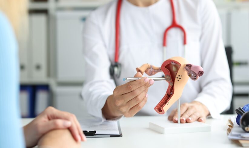 A doctor in a white coat with a red stethoscope points to a model of the female reproductive system while speaking to a patient across the desk.