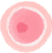image of Donor Egg Bank