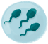 image of Male Fertility