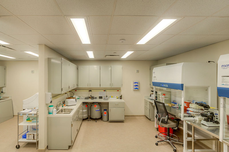 A bright, modern laboratory with overhead lighting, beige floors, light-colored cabinets, laboratory equipment, storage containers, and workstations, including a biosafety cabinet with a chair and scientific supplies.