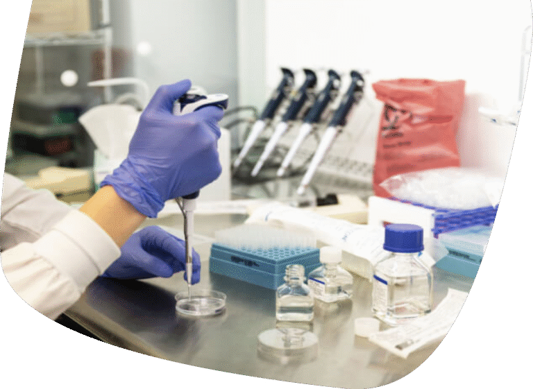 A person wearing a lab coat and purple gloves uses a pipette in a laboratory, with vials, bottles, and lab equipment arranged on the workspace.