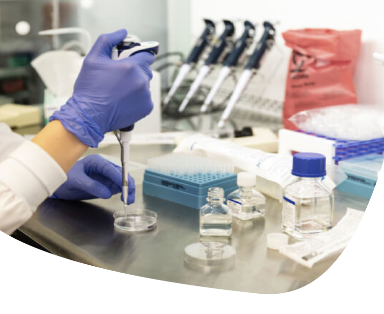 A person wearing blue gloves uses a pipette to transfer liquid into a petri dish in a laboratory, with bottles, trays, and additional pipettes visible on the workbench.