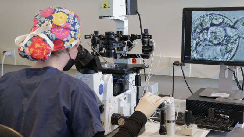 A scientist wearing scrubs, a colorful cap, and gloves uses a microscope in a lab. An image of cells is displayed on a nearby monitor connected to the microscope.