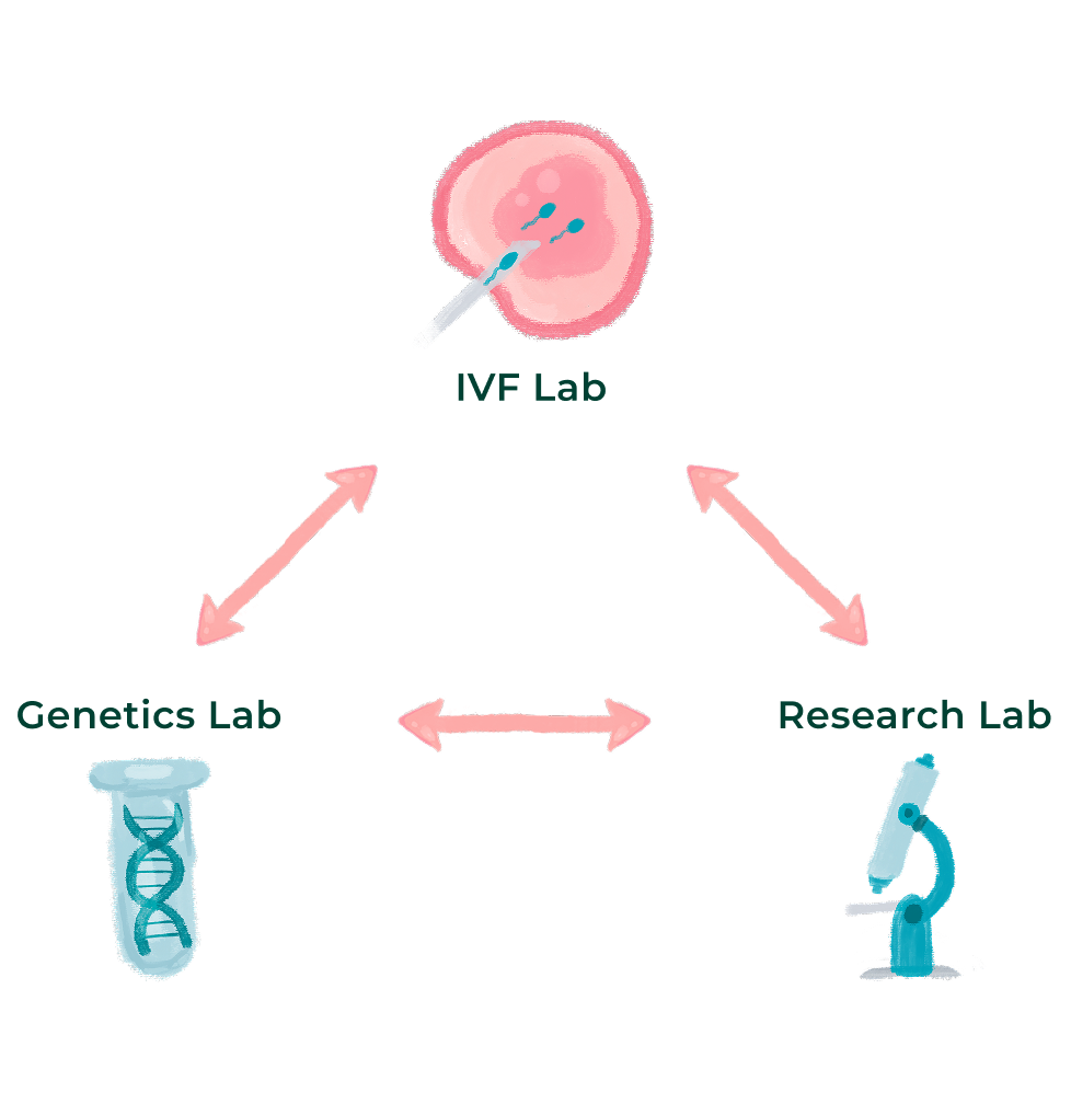Diagram showing three labs: IVF Lab (with fertilized egg), Genetics Lab (with DNA in test tube), and Research Lab (with microscope), connected by arrows indicating collaboration.