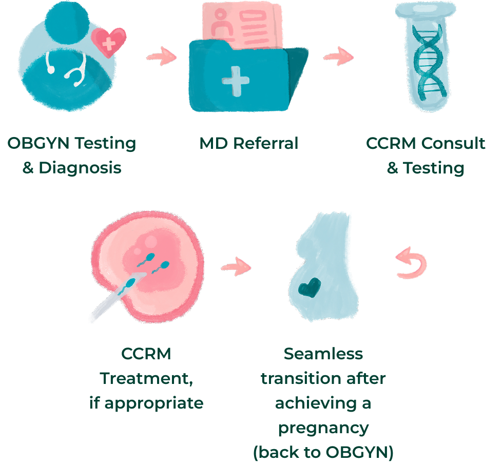 A visual flowchart showing steps: OBGYN testing and diagnosis, MD referral, CCRM consult and testing, CCRM treatment if needed, then transition back to OBGYN after pregnancy is achieved.