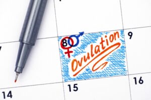 A calendar page with a pen and a marked date. The 8th is circled with male and female symbols, and the word “Ovulation” is written in orange within a blue box spanning several days.
