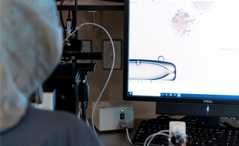 PGT-A at CCRM Fertility IVF lab