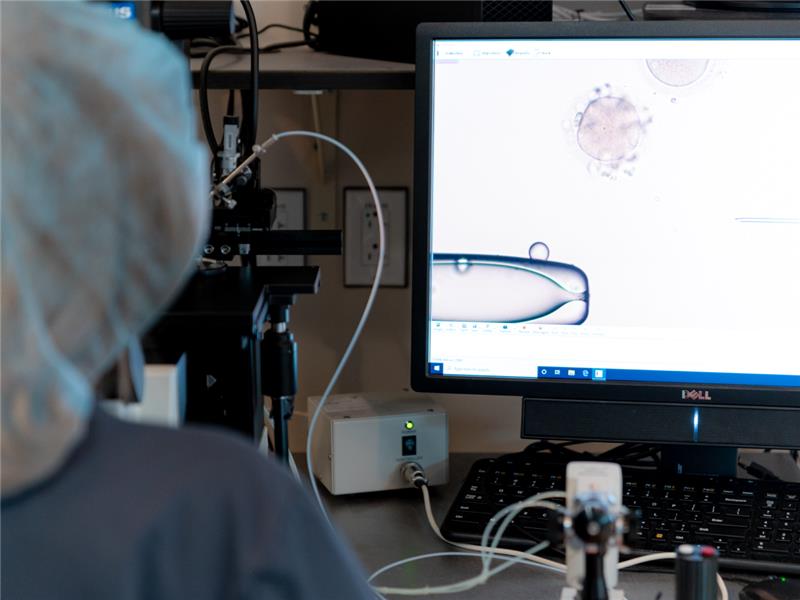 PGT-A at CCRM Fertility IVF lab