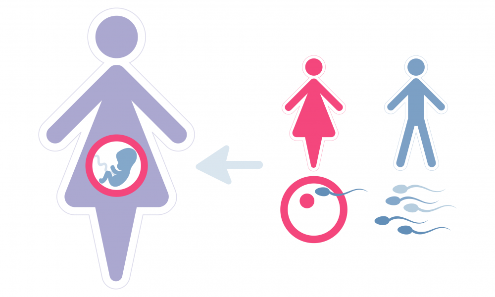 A diagram showing a pregnant woman with a fetus, an arrow pointing from icons of a woman, a man, an egg, and sperm, illustrating human reproduction and fertilization.