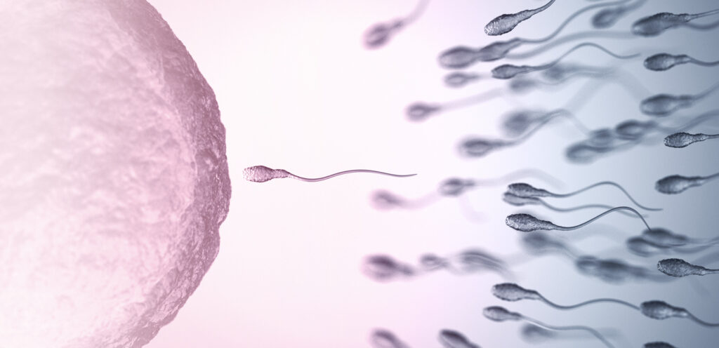 A close-up illustration shows numerous sperm cells swimming toward a large, textured egg cell, depicting the process of fertilization. The background has a gradient of pink and blue tones.