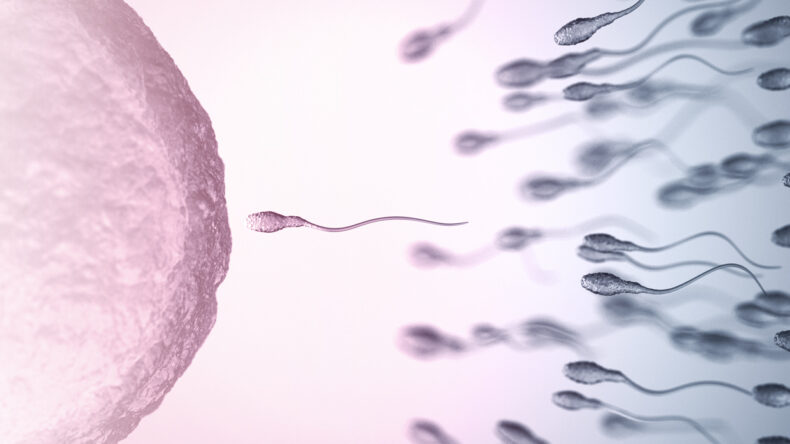 A close-up illustration shows numerous sperm cells swimming toward a large, textured egg cell, depicting the process of fertilization. The background has a gradient of pink and blue tones.