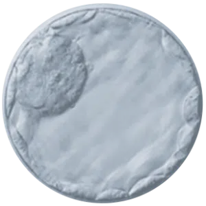A tarnished and worn silver coin with faded details, making any designs or inscriptions difficult to distinguish. The coins surface appears scratched and uneven.