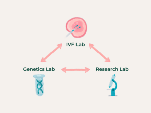 ccrm fertility network