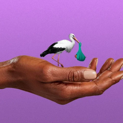 A hand holds a small stork carrying a blue bundle in its beak, set against a purple background.