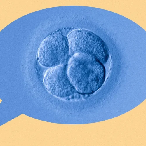 A blue-toned image of a cell cluster, possibly a human embryo at early stages, appears inside a speech bubble on a beige background.