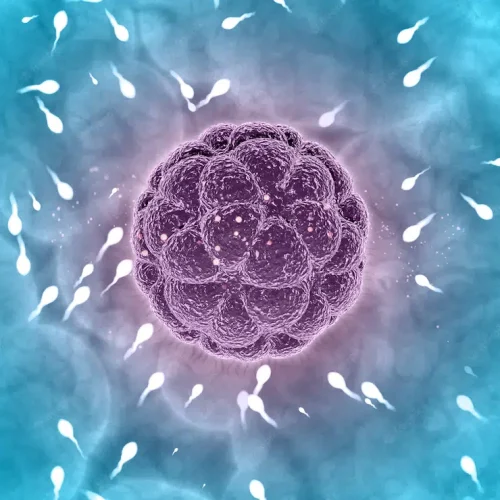 Illustration of many white sperm cells swimming toward a large, round purple egg cell in the center, set against a blue and purple background, representing fertilization or conception.
