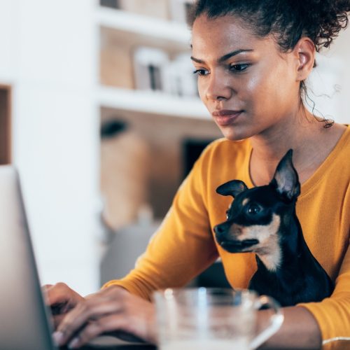 A woman in a yellow top works on a laptop at home with a small black and brown dog sitting on her lap. A glass cup is visible in the foreground, and shelves are blurred in the background.