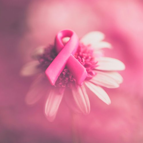 A pink breast cancer awareness ribbon rests on the center of a daisy flower, with a soft pink blurred background creating a gentle and supportive atmosphere.