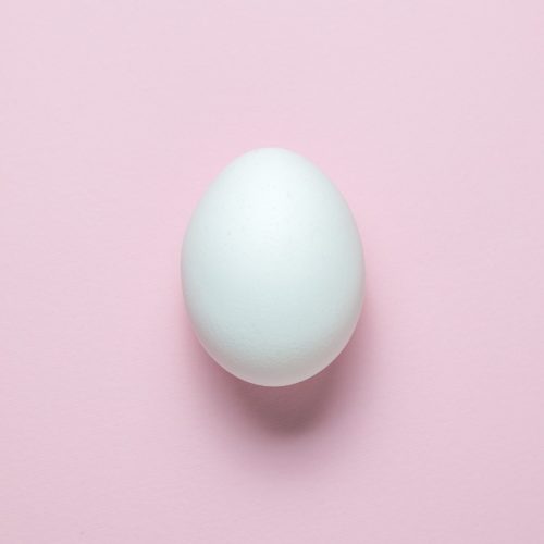 A single white egg is centered on a smooth, light pink background. The egg casts a soft shadow beneath it.